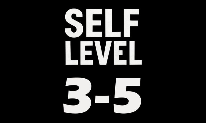  Self Level 3 - 5 - فروشگاه سرور دایمند