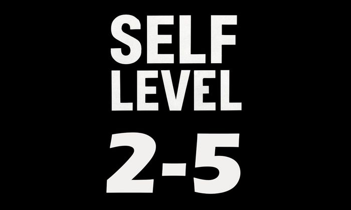  Self Level 2 - 5 - فروشگاه سرور دایمند