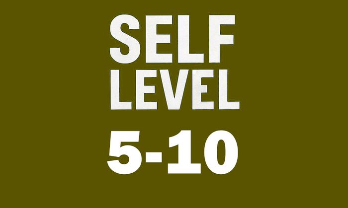 Self Level 5 - 10 - فروشگاه سرور دایمند